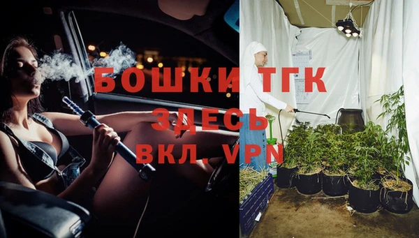 бошки Алексин