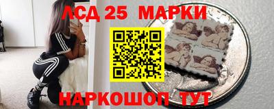 индика Обь