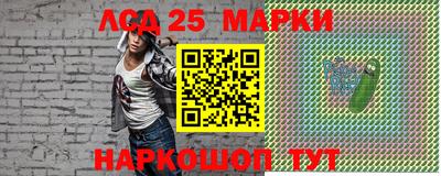 индика Обь