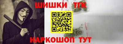 индика Обь