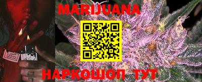 индика Обь