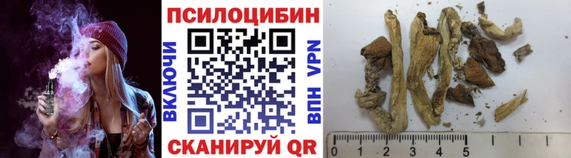 Галлюциногенные грибы Psilocybine cubensis Углич