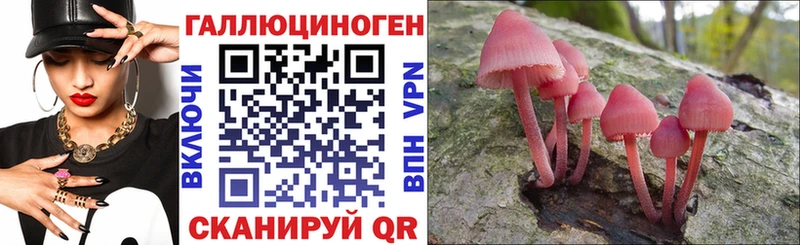 Псилоцибиновые грибы Cubensis  Углич 
