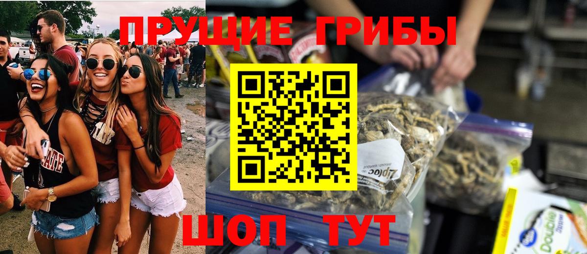 где продают наркотики  Вход с VPN  Углич  Псилоцибиновые грибы ЛСД 