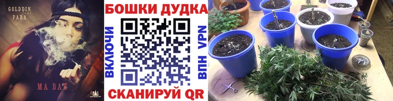 Бошки Шишки планчик Углич